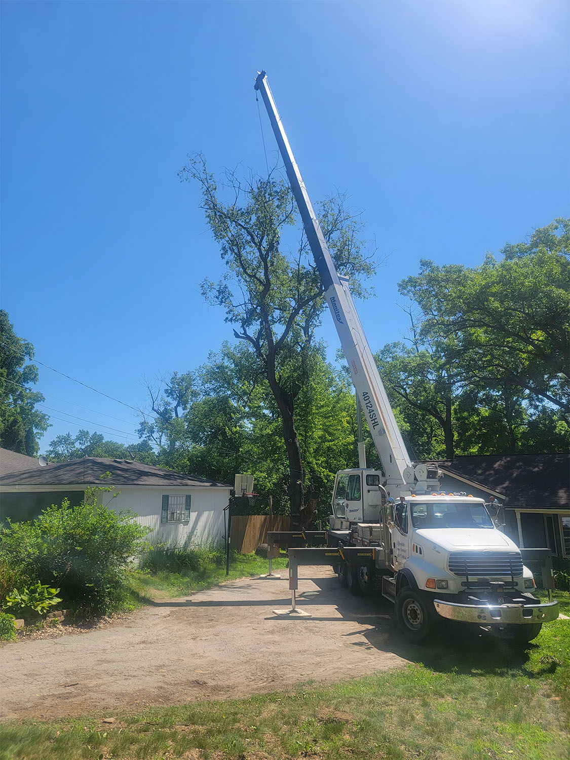 Tree removal by Tree Huggers